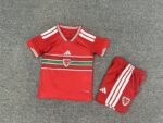 Kids 2026 Wales Home Jersey