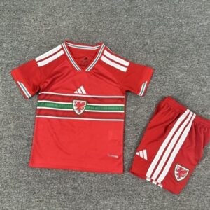 Kids 2026 Wales Home Jersey