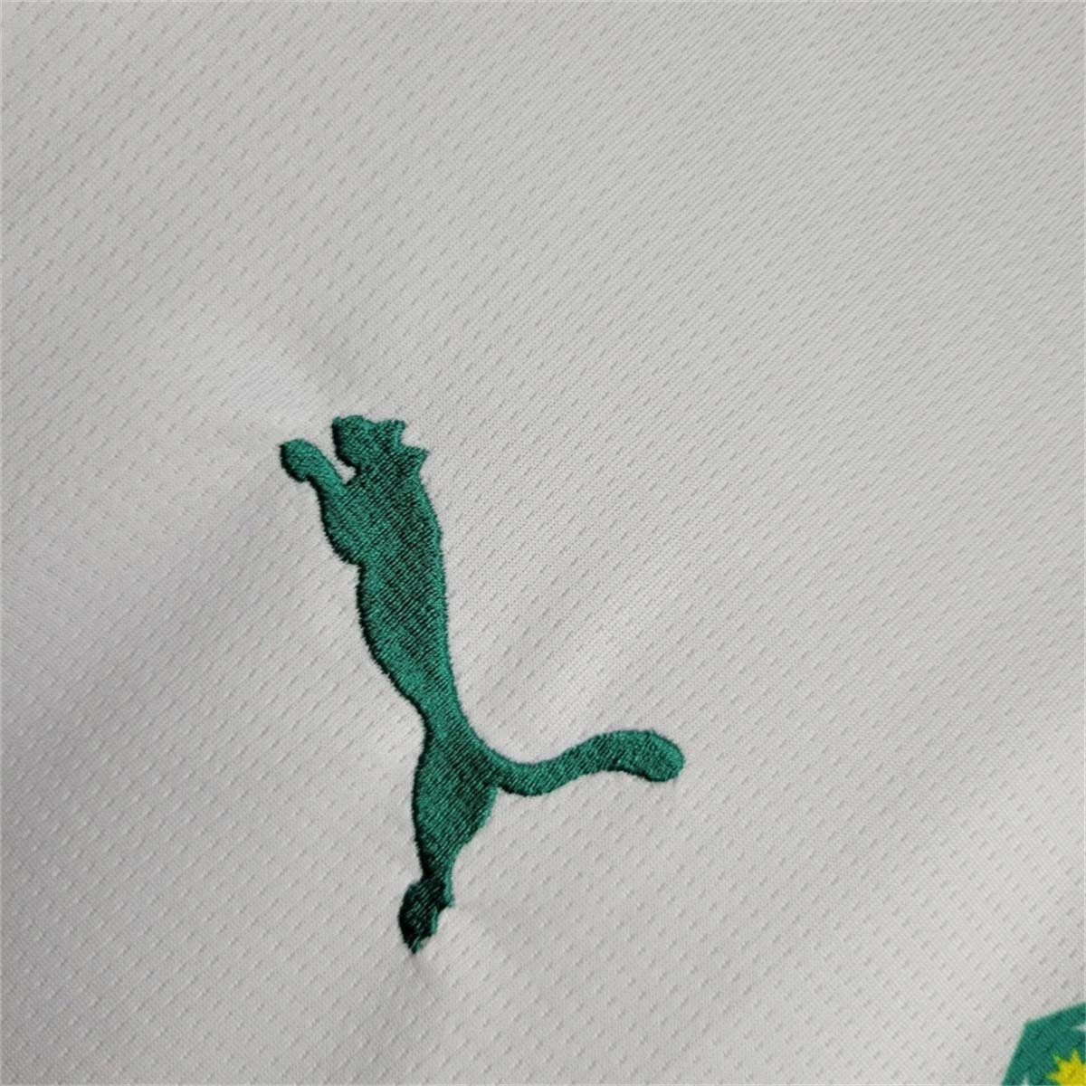 【S-4XL】Senegal 2025 Home Football Jersey - Image 6