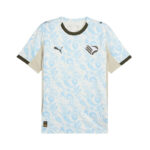 Palermo 25/26 Third Football Shirt